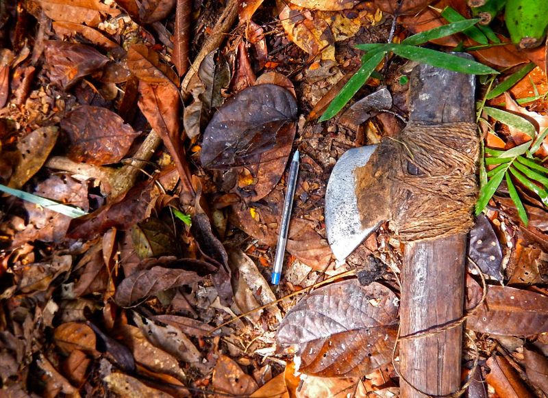 This 2017 photo released by the National Indian Foundation (FUNAI) shows an axe on the ground in Vale do Javari, Amazonas state, Brazil. An agency official told The Associated Press that they had monitored this tribe in the jungle for years but had never caught it on camera. (AP/AAP)