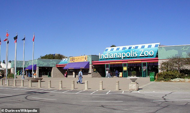 The incident took place on Monday morning before the Indianapolis Zoo opened to the public | Wikipedia